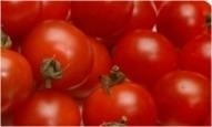 トマト素材製品