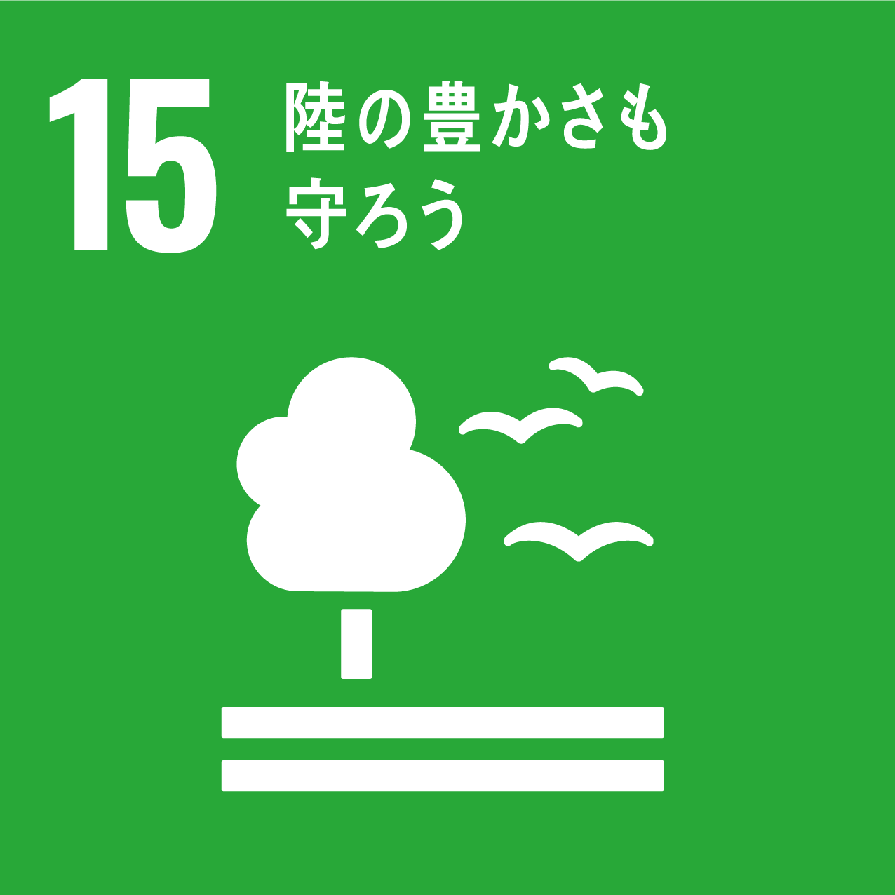 12　陸の豊かさも守ろう